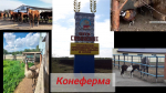 Виртуальная экскурсия для родителей воспитанников: воспитание патриотических чувств у детей старшего дошкольного возраста